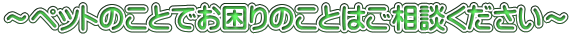 ～ペットのことでお困りのことはご相談ください～